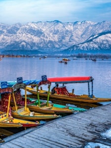 kashmir