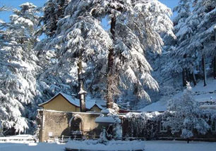 manali-shimla-volvo